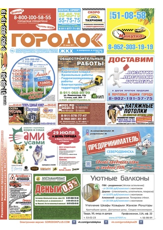 Городок плюс, выпуск номер 28 от 22 июля 2017 года.