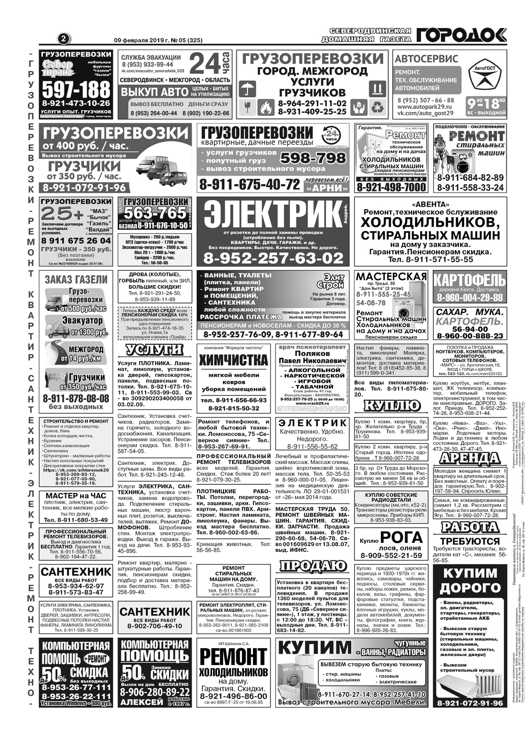 Городок плюс, выпуск номер 5 от 09 февраля 2019 года, страница 2.