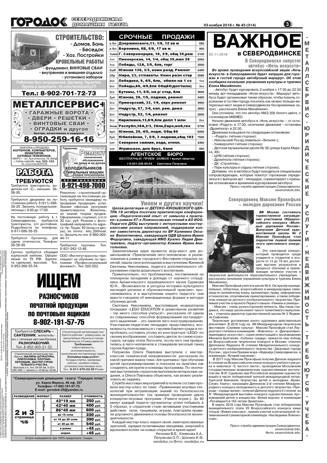 Городок плюс, выпуск номер 43 от 03 ноября 2018 года, страница 3.