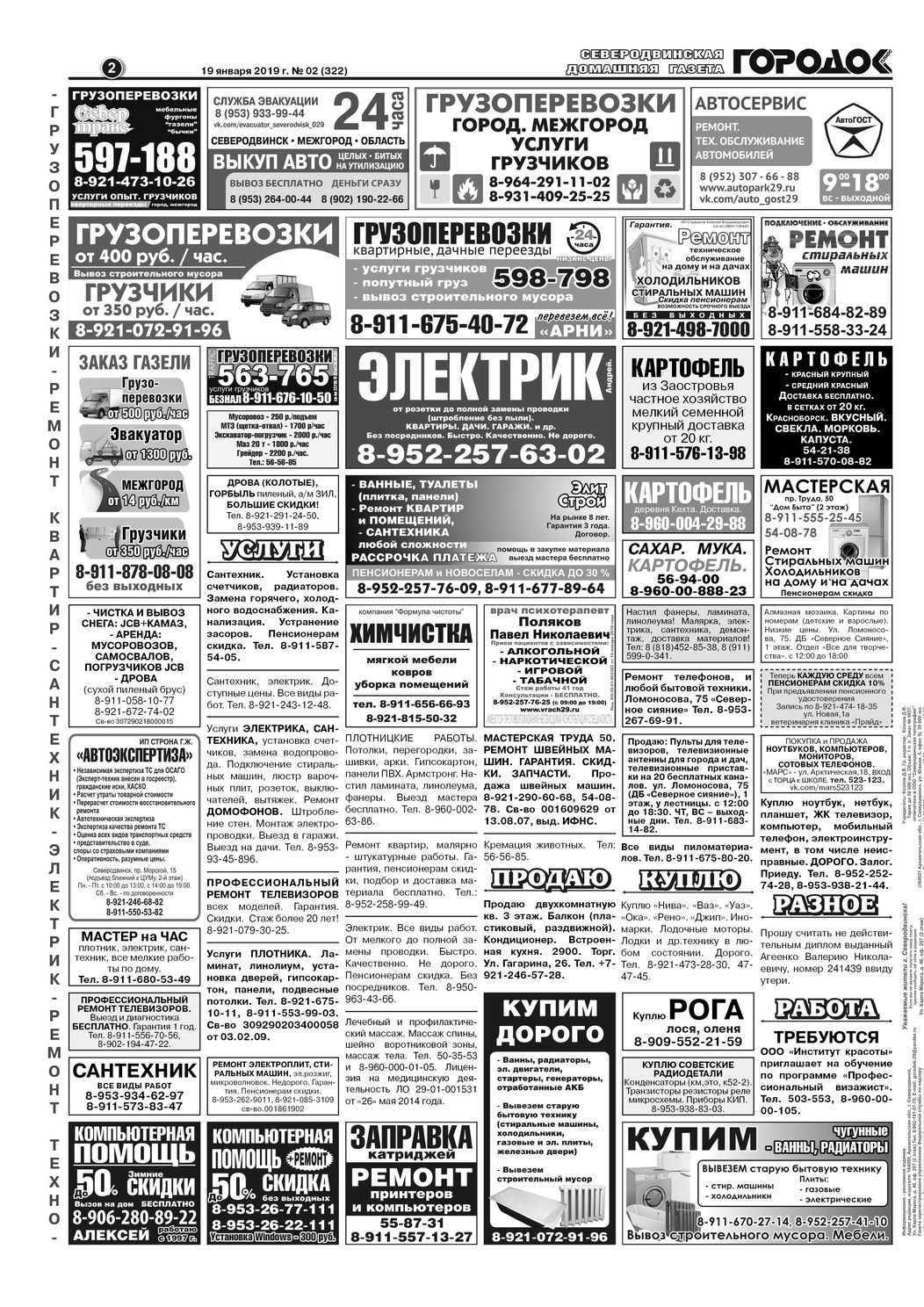 Городок плюс, выпуск номер 2 от 19 января 2019 года, страница 2.