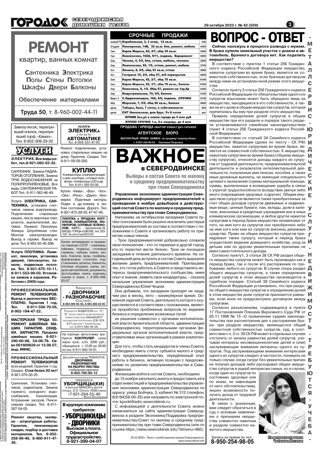 Городок плюс, выпуск номер 42 от 29 октября 2022 года, страница 3.