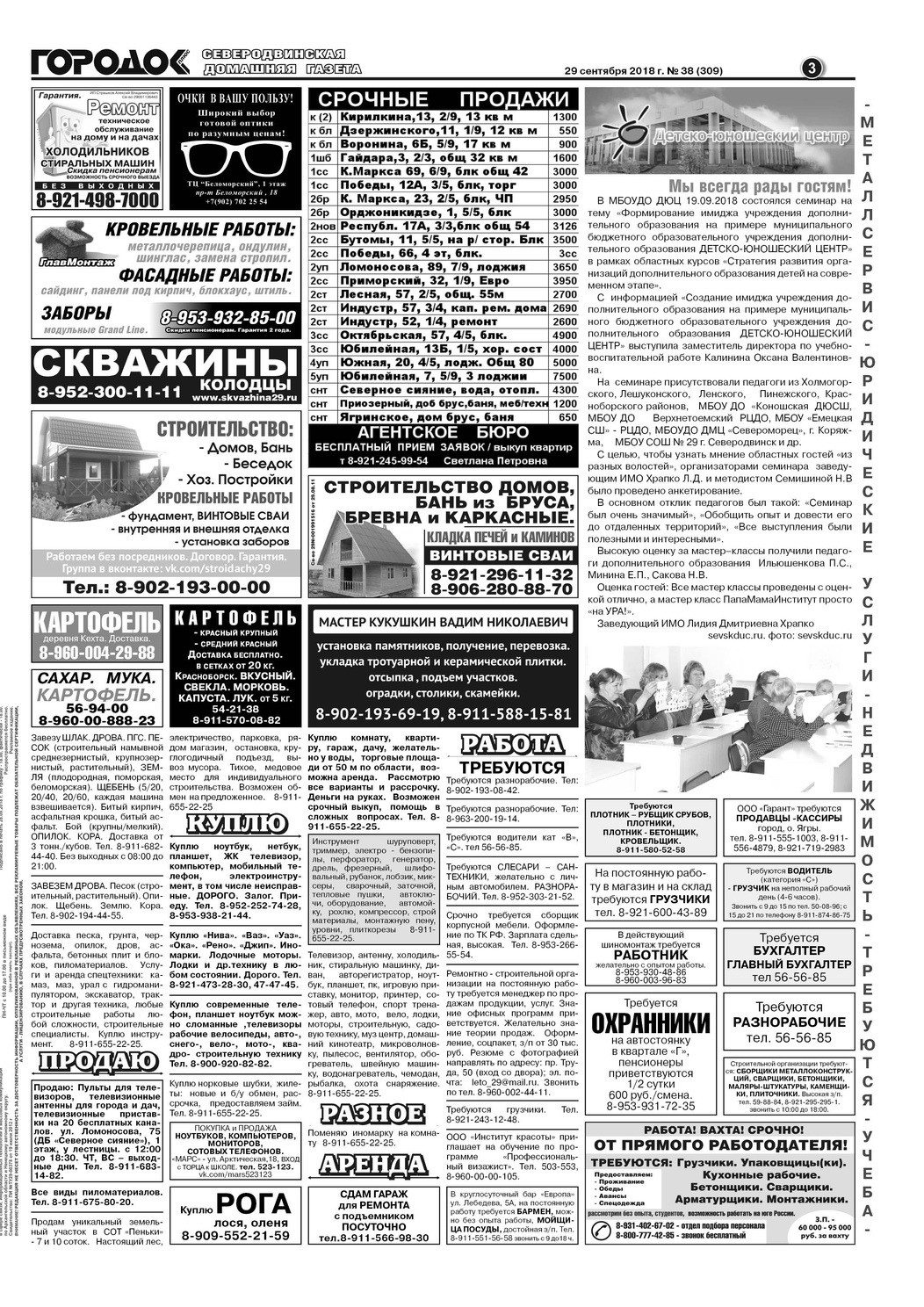 Городок плюс, выпуск номер 38 от 29 сентября 2018 года, страница 3.