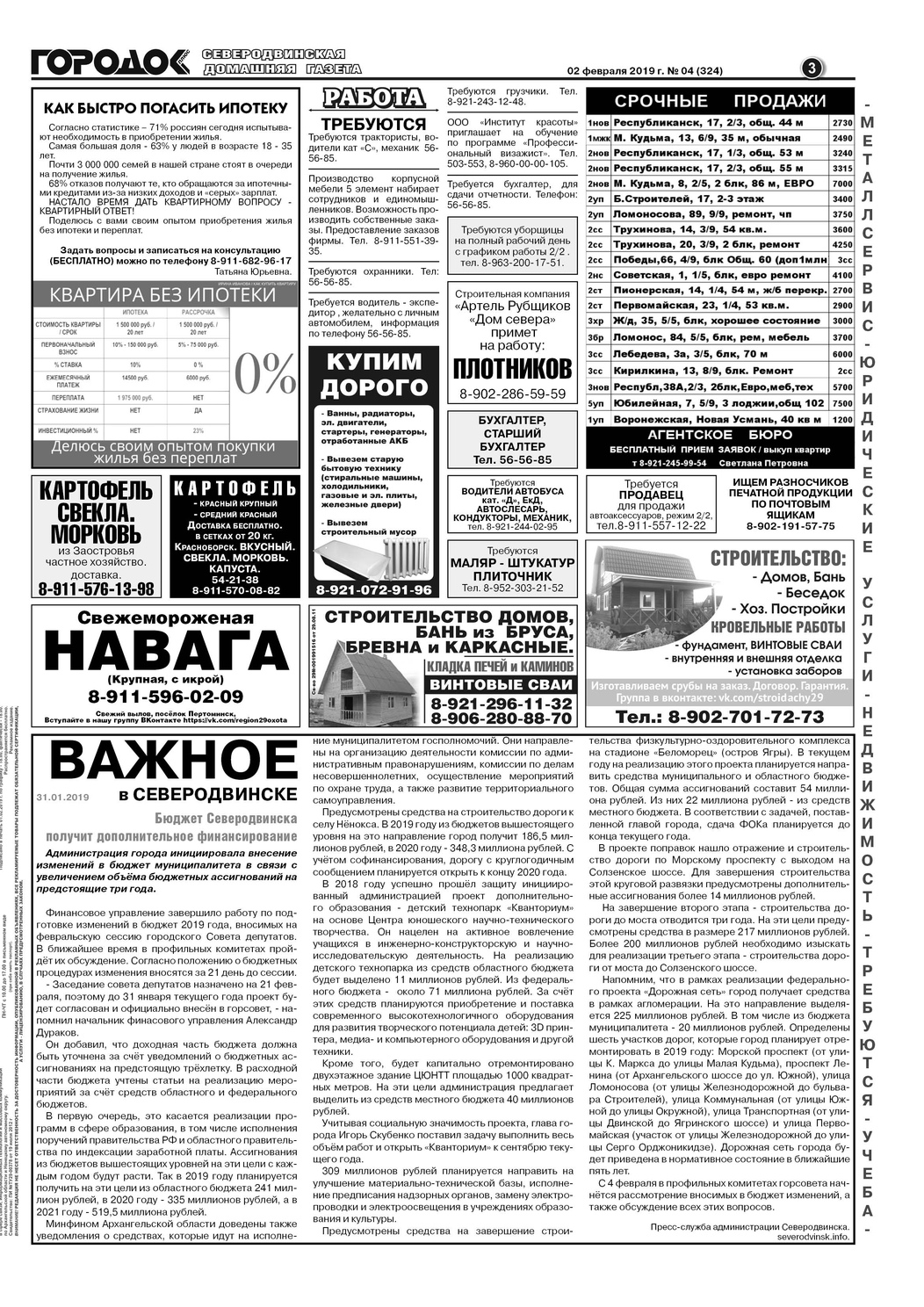 Городок плюс, выпуск номер 4 от 08 февраля 2019 года, страница 3.