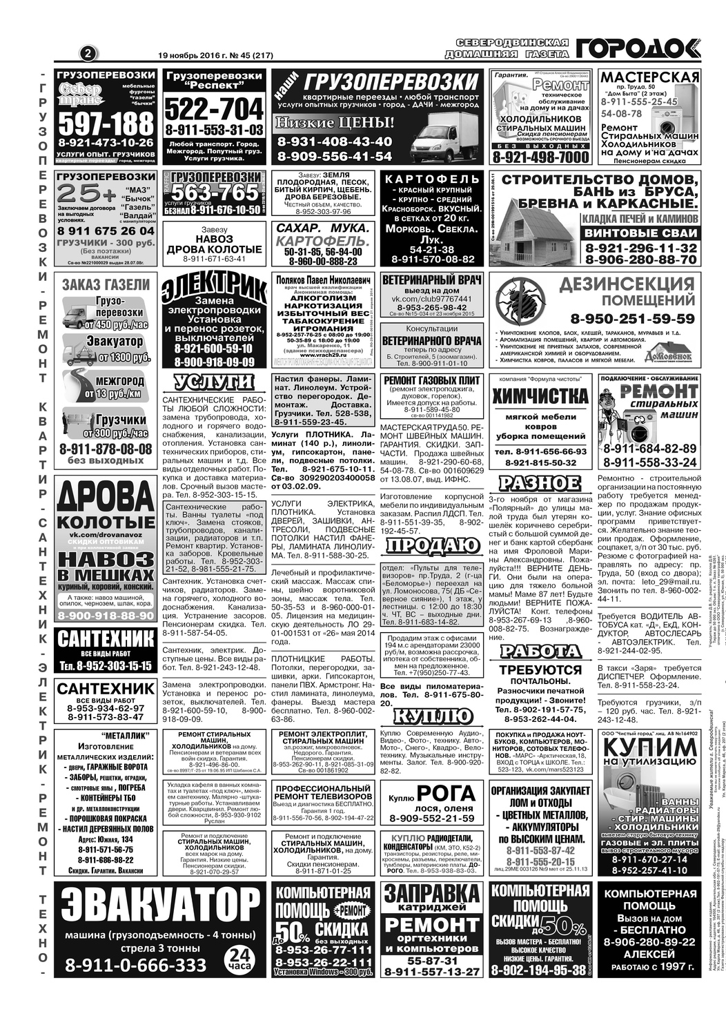 Городок плюс, выпуск номер 45 от 20 ноября 2016 года, страница 2.