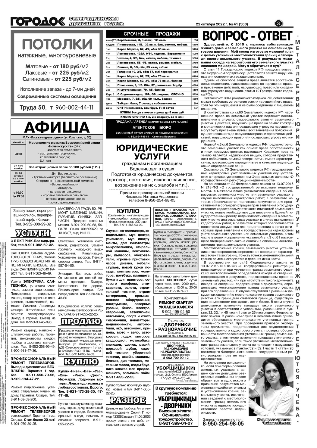 Городок плюс, выпуск номер 41 от 22 октября 2022 года, страница 3.