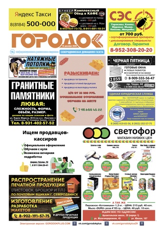 Городок плюс, выпуск номер 48 от 19 декабря 2020 года.